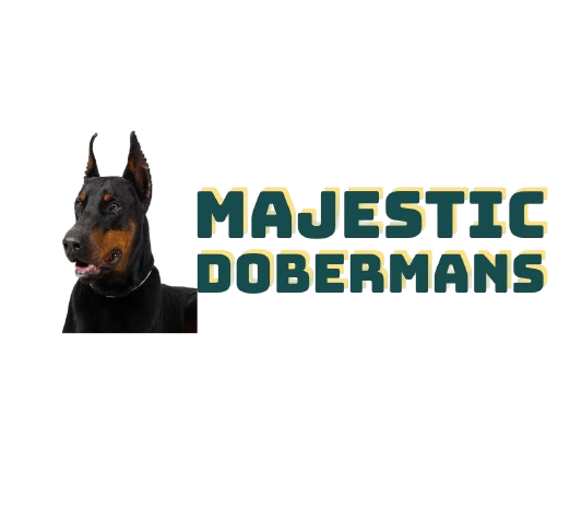 doberman puppies for sale